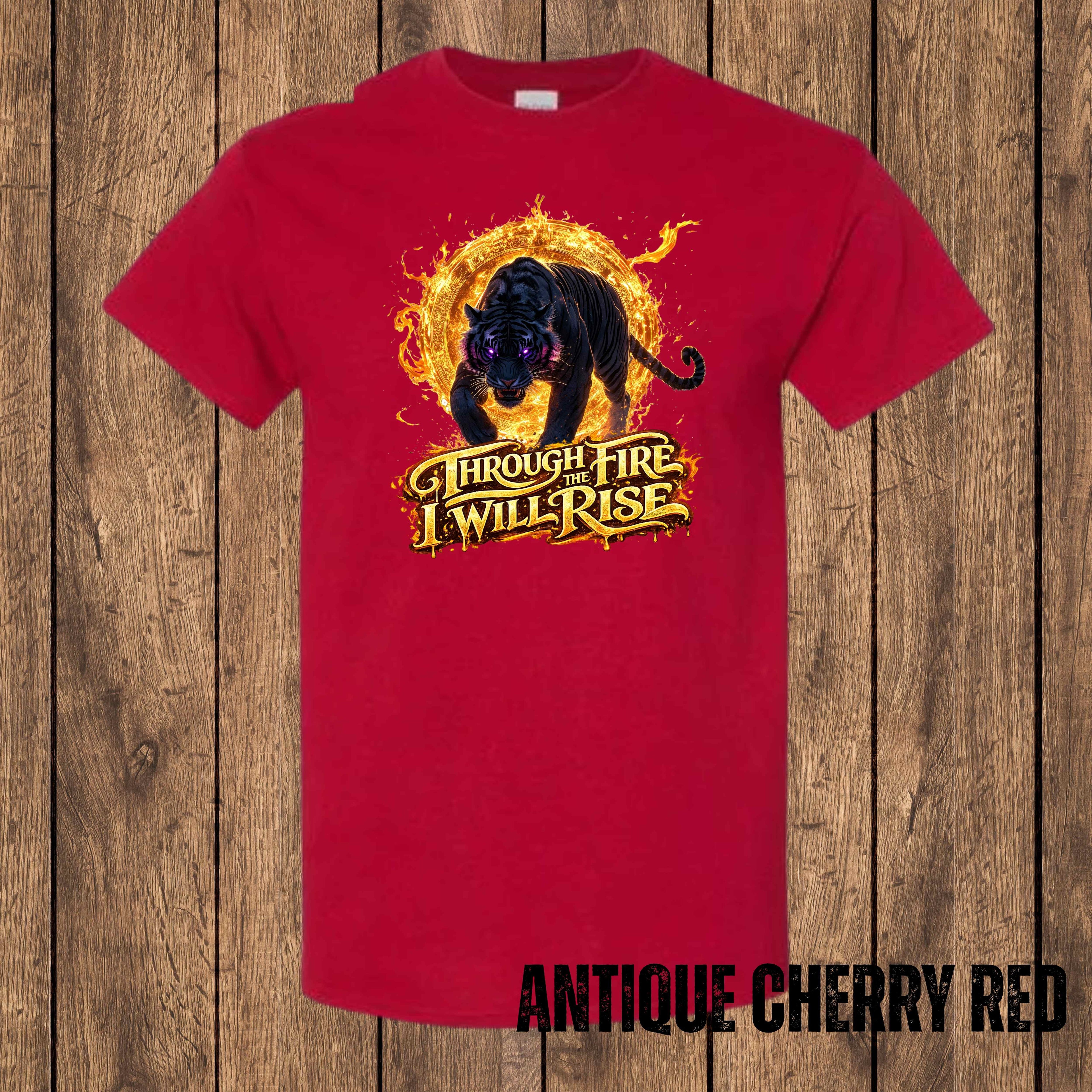 Through the Fire, I Will Rise