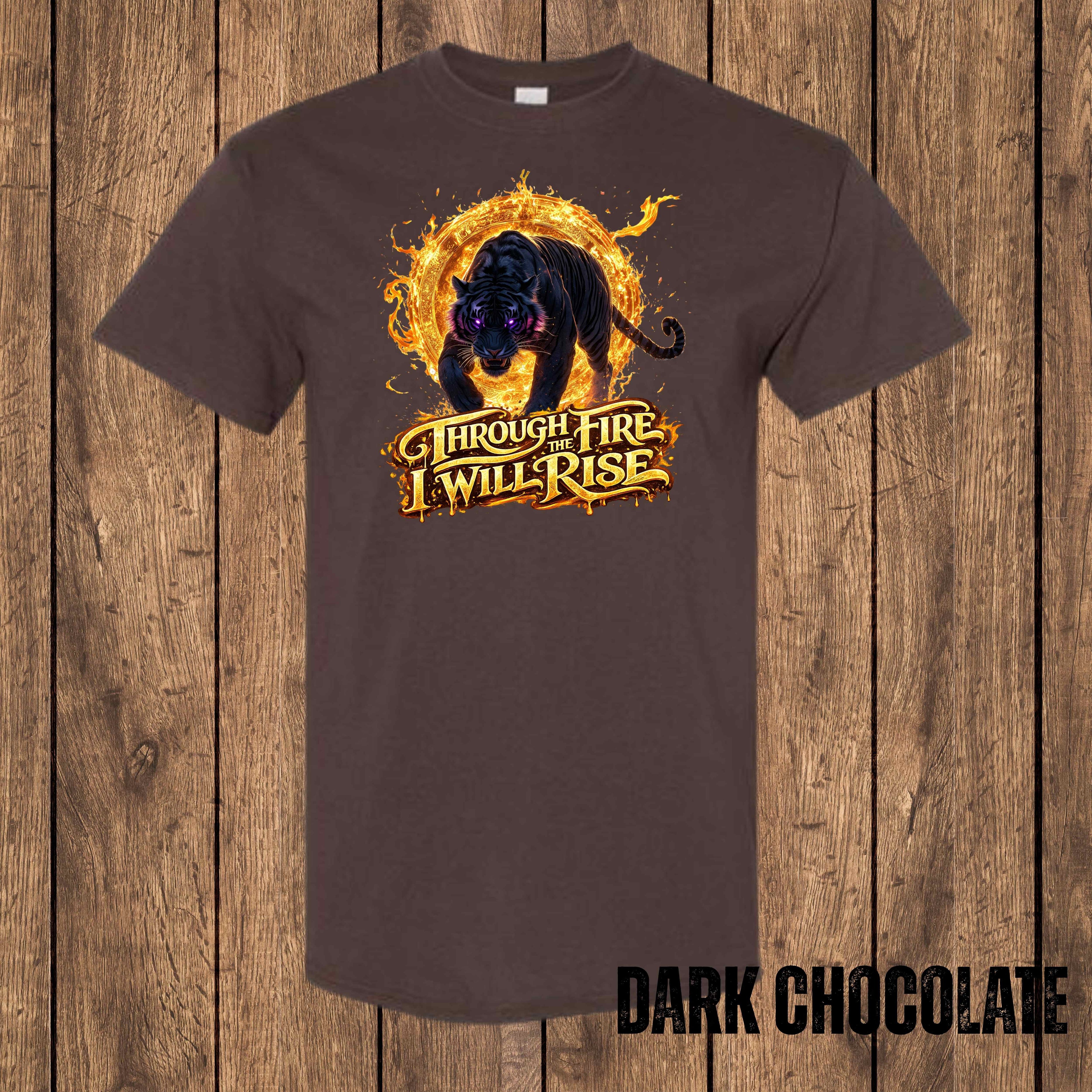 Through the Fire, I Will Rise