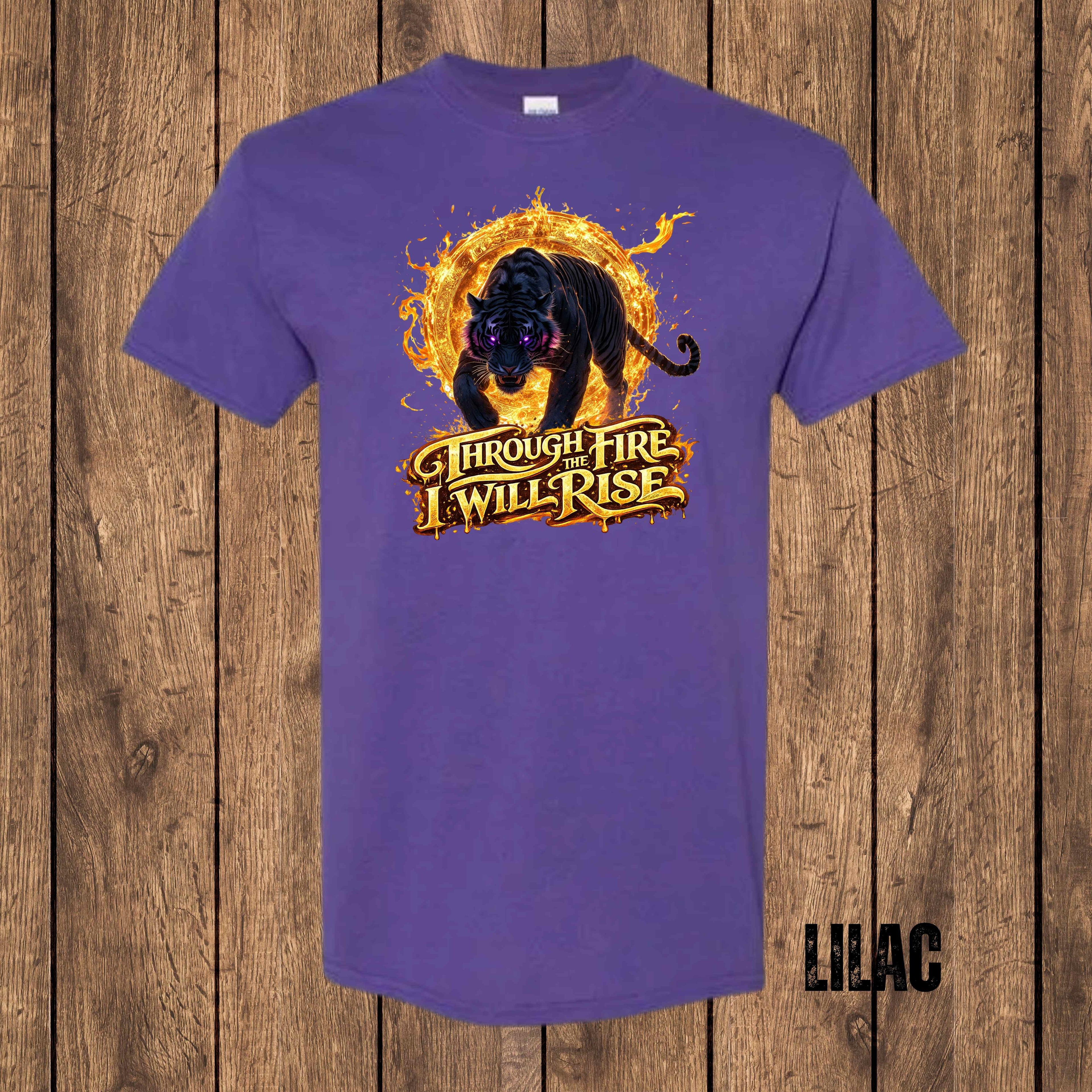 Through the Fire, I Will Rise