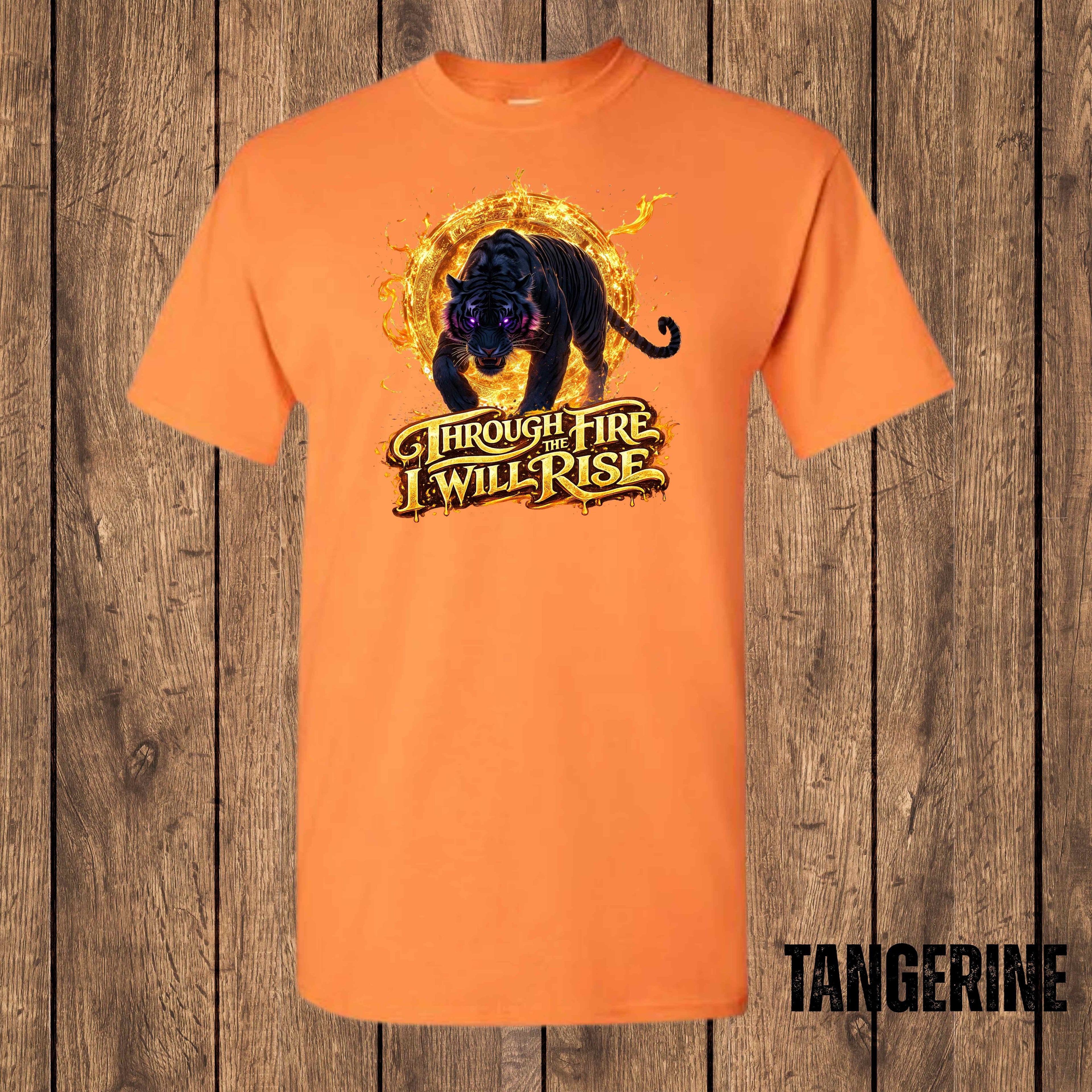 Through the Fire, I Will Rise